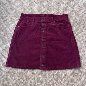 Velvet Skirt